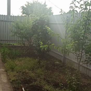 Сдается Дом, 65 м²