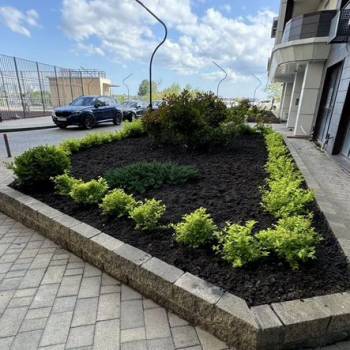 Сдается Нежилое помещение, 50 м²