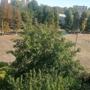 Сдается Многокомнатная квартира, 61,6 м²