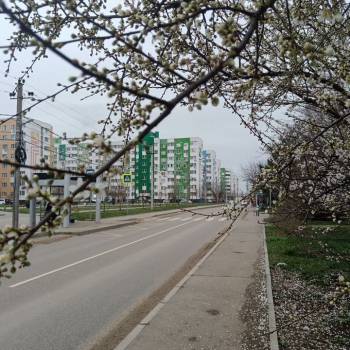 Продается 2-х комнатная квартира, 53,6 м²