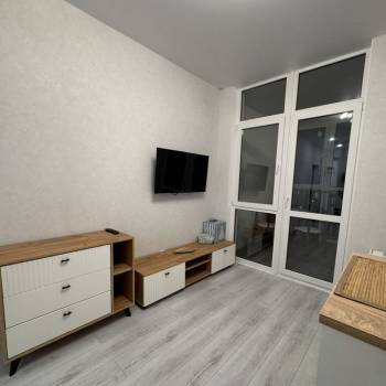 Сдается 1-комнатная квартира, 23,9 м²