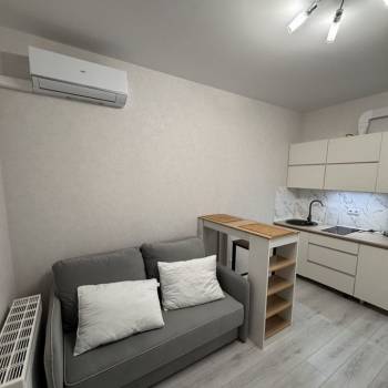 Сдается 1-комнатная квартира, 23,9 м²
