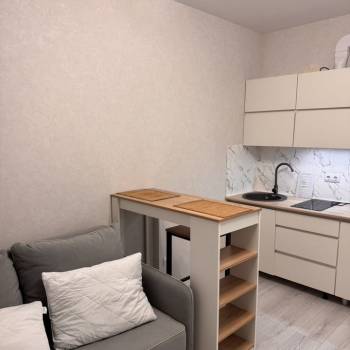 Сдается 1-комнатная квартира, 23,9 м²
