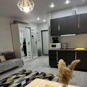 Сдается 1-комнатная квартира, 25 м²