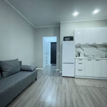 Сдается 1-комнатная квартира, 23,9 м²