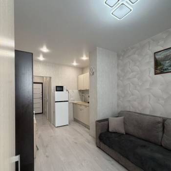 Сдается 1-комнатная квартира, 20,8 м²