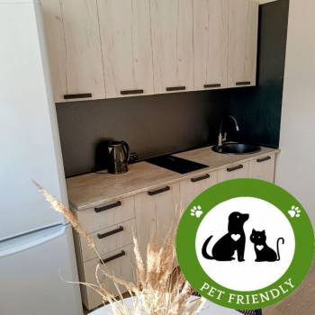 Сдается 1-комнатная квартира, 30 м²