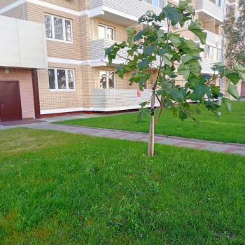 Сдается 1-комнатная квартира, 36 м²