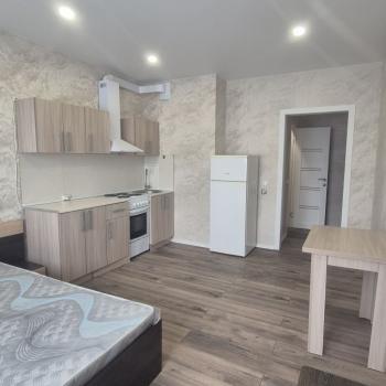 Продается 1-комнатная квартира, 26,2 м²