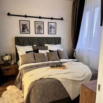Сдается 1-комнатная квартира, 50 м²