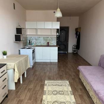 Сдается 1-комнатная квартира, 27 м²