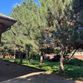 Продается Участок, 800 м²