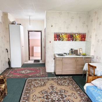 Продается 1-комнатная квартира, 27,8 м²