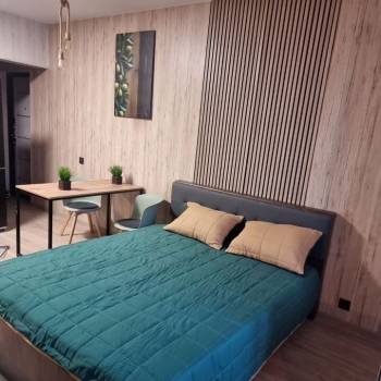 Сдается 1-комнатная квартира, 25,3 м²