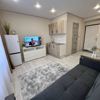 Продается 1-комнатная квартира, 18,3 м²