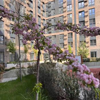 Продается 1-комнатная квартира, 33,7 м²
