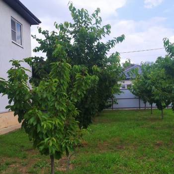 Сдается Дом, 160 м²