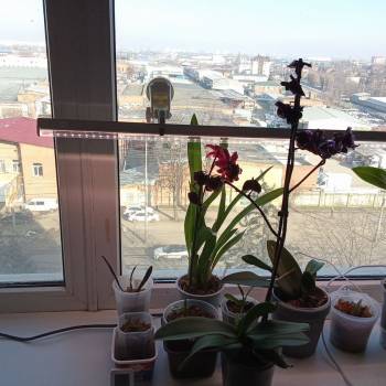Сдается Комната, 0 м²