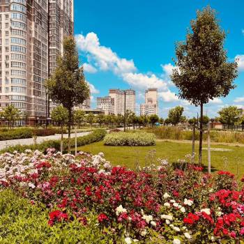 Сдается 1-комнатная квартира, 23 м²