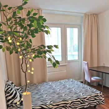 Сдается 1-комнатная квартира, 23 м²