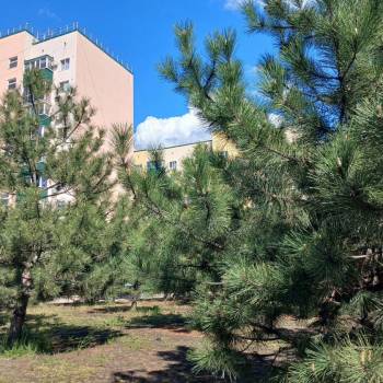 Продается 1-комнатная квартира, 42 м²