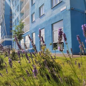Продается 1-комнатная квартира, 30 м²
