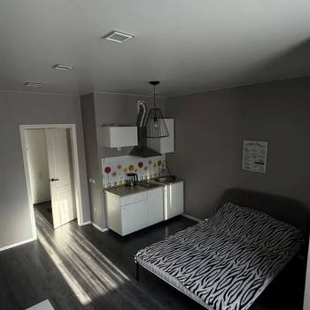 Сдается 1-комнатная квартира, 25 м²