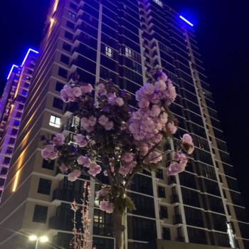Сдается 2-х комнатная квартира, 51,5 м²