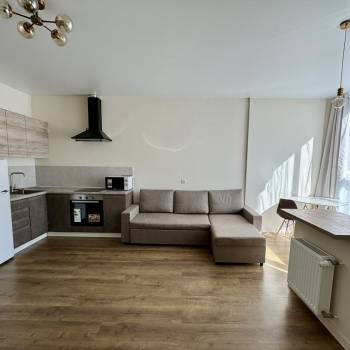 Сдается 1-комнатная квартира, 40 м²