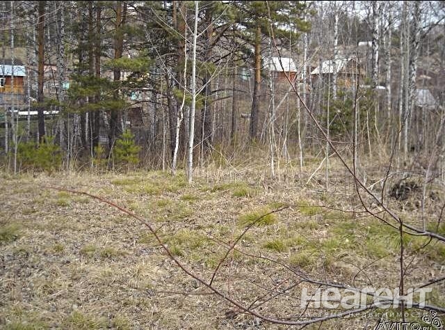 Фотография №2