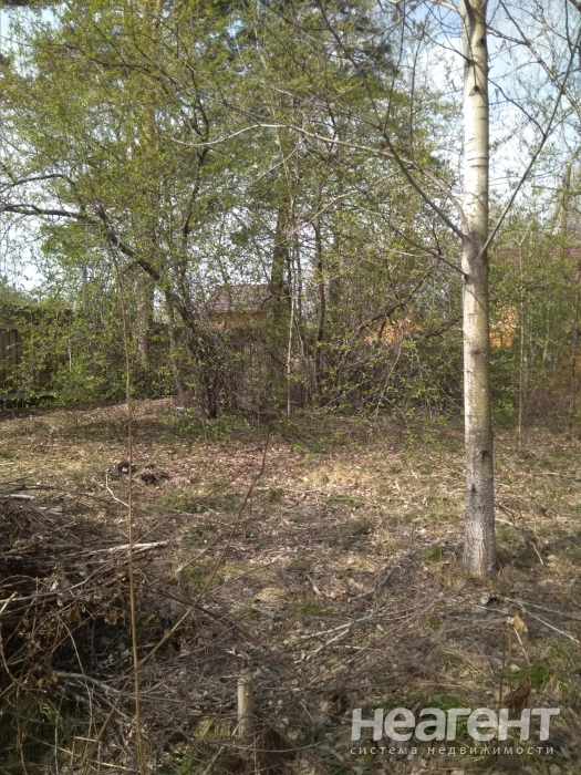 Фотография №3