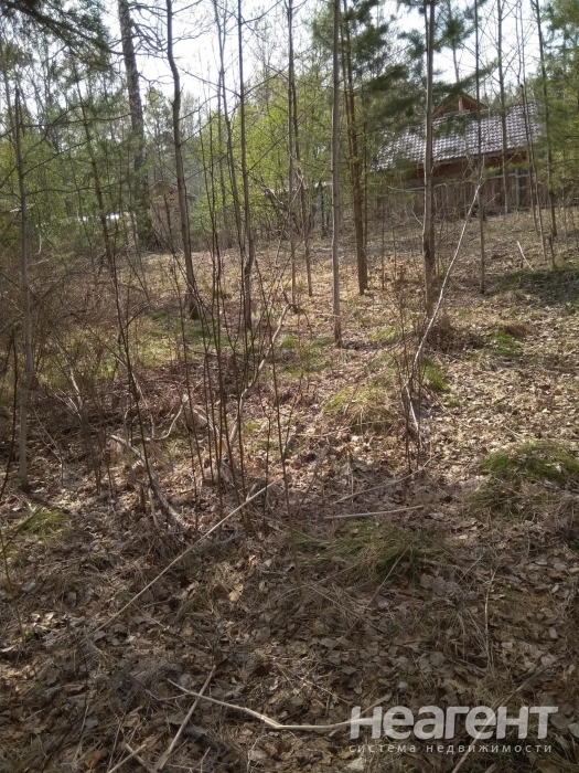 Фотография №4