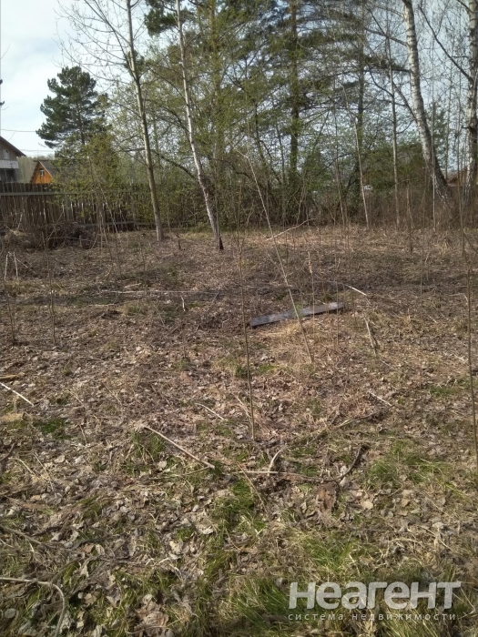 Фотография №5