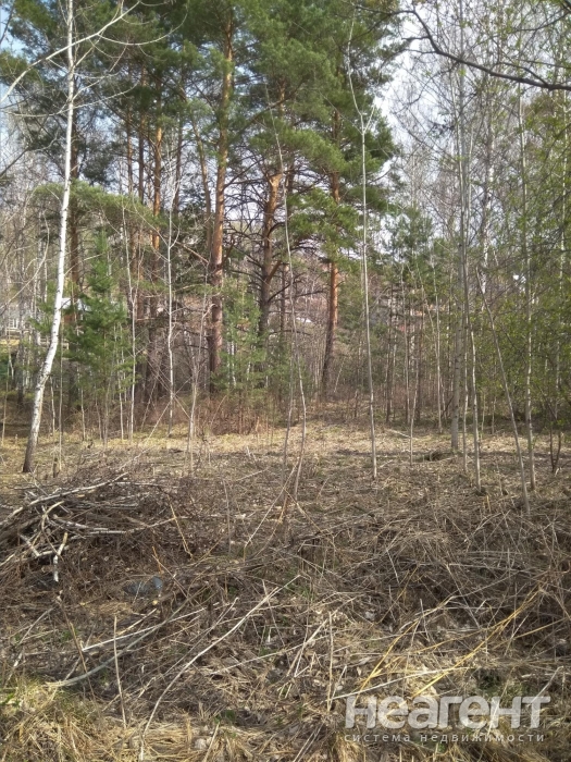 Фотография №6