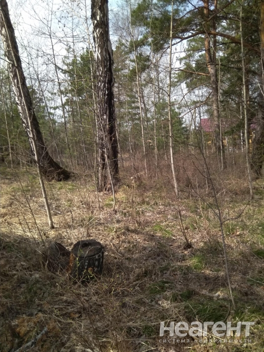 Фотография №7