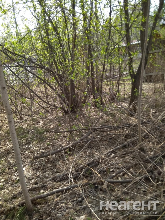 Фотография №8