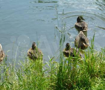 Продается Дом, 85 м²