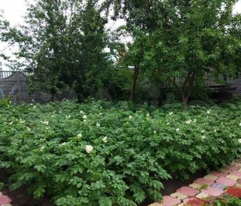 Продается Дом, 165 м²