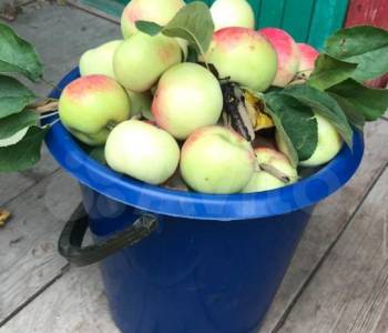 Продается Дом, 40 м²