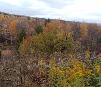 Продается Участок, 600 м²