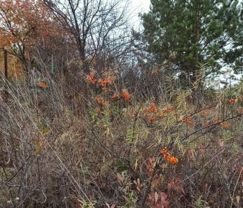 Продается Участок, 600 м²