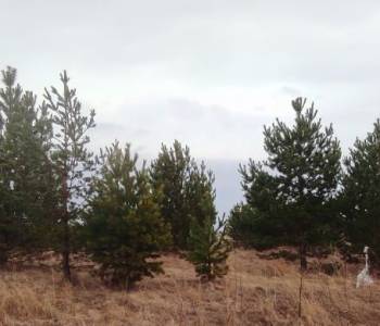 Продается Участок, 1500 м²