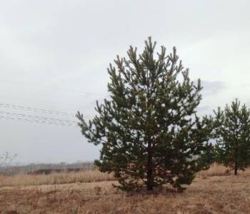 Продается Участок, 1500 м²