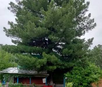 Продается Дом, 60 м²