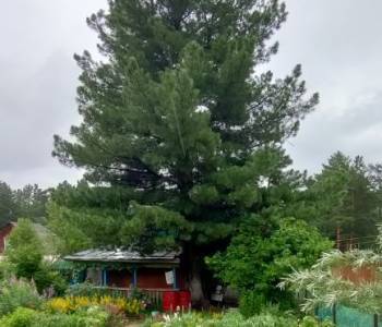 Продается Дом, 60 м²