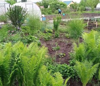 Продается Дом, 42 м²