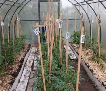 Продается Дом, 42 м²