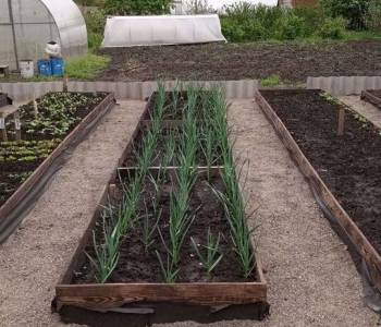 Продается Дом, 42 м²