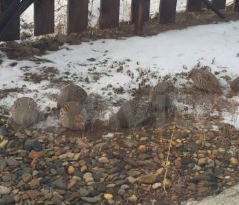 Продается Дом, 150 м²