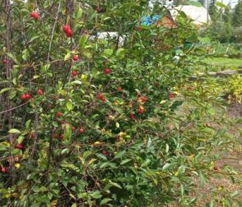 Продается Дом, 73 м²